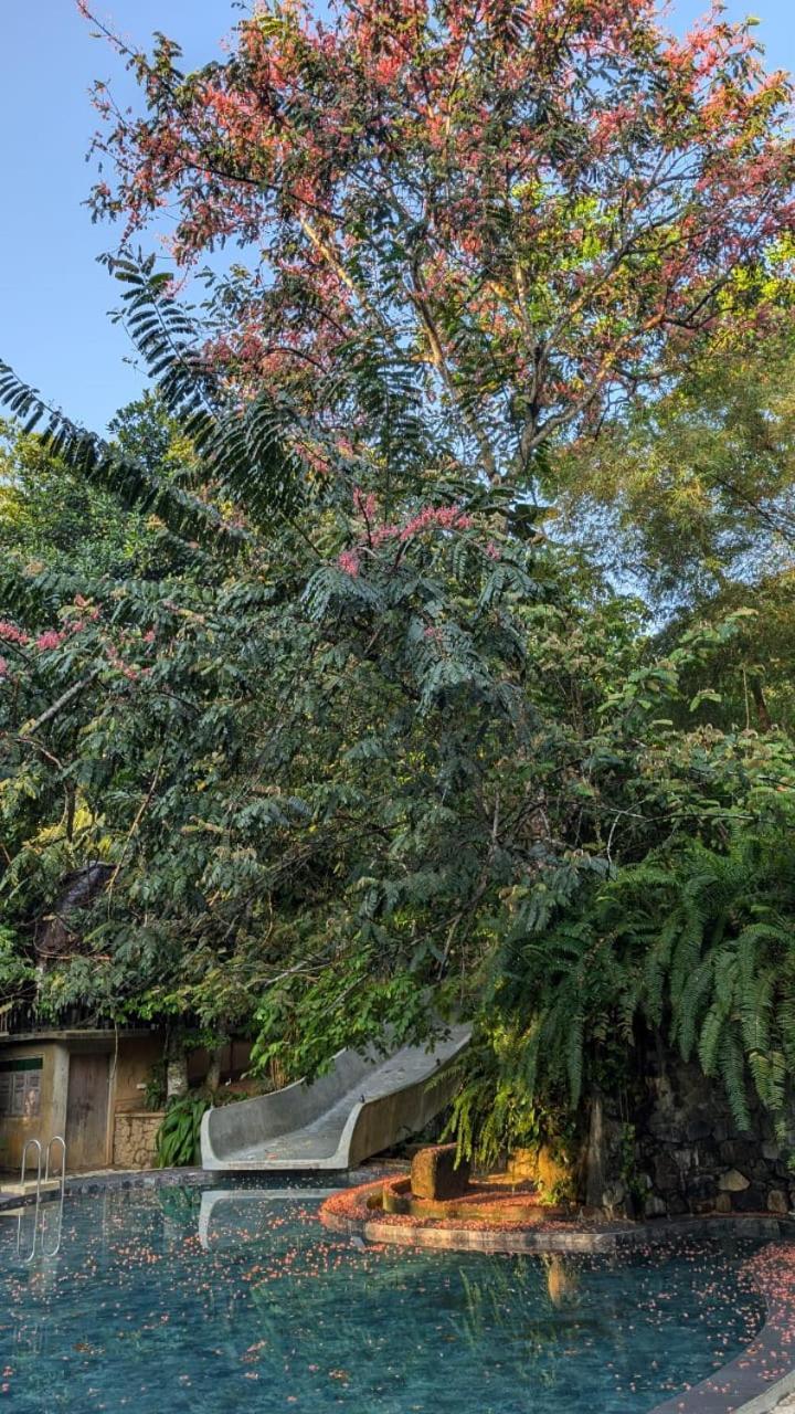 Leisure Land Bed and Breakfast Galle Δωμάτιο φωτογραφία